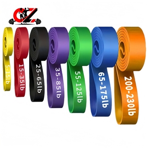 Banda de Resistencia CZFIT, Banda Elástica, Banda de Resistencia de Látex TPE, Anillo Elástico, Banda de Fitness, Cuerda Elástica para Dominadas, Simple - Product Image 2