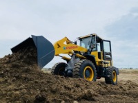 Livraison gratuite farm garden mining chargeuse sur pneus 3 tonnes prix compact chargeuses frontales sur roues