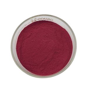 Polvo de fruta de arándano orgánico Extracto de fruta de arándano en polvo Polvo de arándanos - Product Image 2