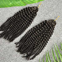 Cheveux humains pour tresses au crochet GDY de qualité, 100% cheveux humains vierges brésiliens, cheveux bouclés crépus, extensions de cheveux humains pour tresses au crochet