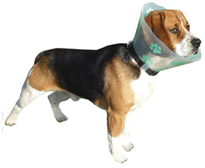 犬のトレーニングのためのペット医療手術のための獣医機器調整可能なプラスチック犬保護創傷コーン - Product Image 4