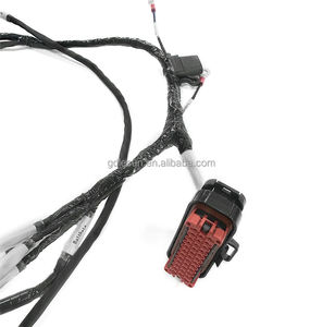 Cable <span class=keywords><strong>de</strong></span> alimentación electrónico personalizado arnés <span class=keywords><strong>de</strong></span> cables <span class=keywords><strong>faro</strong></span> <span class=keywords><strong>de</strong></span> luz antiniebla para bicicleta motocicleta - Product Image 5