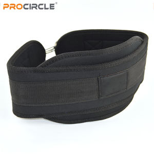 Özel baskı ağırlık kaldırma daldırma naylon dalış kemeri Dips ve çekme Ups için çelik zincir ile - Product Image 4