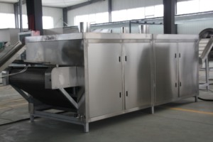 Dây chuyền sản xuất ngũ cốc ăn sáng gạo mới với máy xay thịt công suất cao 100-3000 kg/giờ CE ISO chứng nhận - Product Image 4