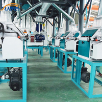 Machine à moudre le maïs/cornichons à haute efficacité 30TPD 50TPD 100TPD avec moteur et électricité, certifiée ISO9001, 220V/380V