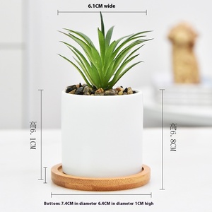 Vente directe d'usine Napin, <span class=keywords><strong>pot</strong></span> de fleurs de bureau moderne en porcelaine blanche émaillée respirante de marque JADE, capacité de 1 à 2 L, transfrontalier - Product Image 6