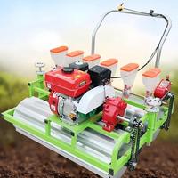 Petite semoir à essence de précision pour légumes, sorgho, millet, chou, radis, céleri