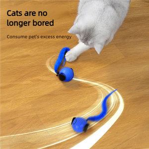 Kediler köpekler için otomatik interaktif elektronik Pet oyunu oyuncak toksik olmayan karikatür tarzı kaydırma titreşimli oyuncak Made TPR plastik kutu - Product Image 3