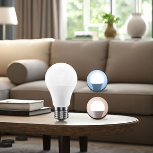 Bombilla Decorativa WOOJONG de Brillo Instantáneo y Sin Parpadeo, A60 A95 12W/20W B22/E27, Lámpara Ecológica para Cumplir con las Normas del <span class=keywords><strong>Mercado</strong></span> Europeo - Product Image 6