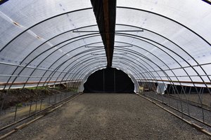 Chống Mưa Axit Nhựa Bìa Dệt Nhà Kính Phim, Trong Suốt 200 Micron Không Thấm Nước Tarpaulin, UV Khối Nông Nghiệp Phim Nhựa - Product Image 4