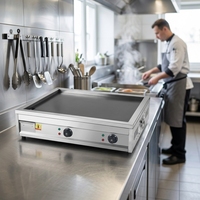 Plaque de cuisson électrique professionnelle de qualité supérieure 6000W en fonte pour restaurant commercial, garantie 1 an