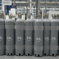 Gas Dióxido de Carbono CO2 99.99% Puro en Cilindro de Acero de 40L 50L, 150Bar 200Bar para Extintor de Incendios, Soldadura e Invernadero