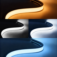Bande LED néon flexible géante 50*30mm 48V, étanche IP67, à pliage supérieur, pour extérieur de villa et bâtiment