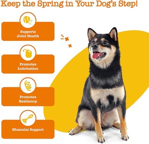 Suplemento para articulaciones OEM, golosinas para masticar para perros, golosinas suaves para nutrición de mascotas - Product Image 2