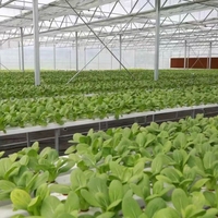 Système hydroponique vertical NFT avec tuyaux en PVC et pompe pour l'agriculture intérieure sans sol, culture automatisée et irrigation.