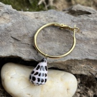 Nouvelles boucles d'oreilles créoles en acier inoxydable avec coquillage naturel Conus Ebraeus, style hawaïen, bijoux bohèmes de plage pour femmes