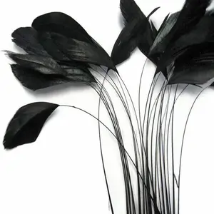 Wholesale Cheap Price Stripped Coque rooster tail feather for decoration