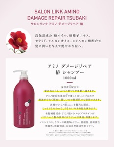 Jepang Salon Link perawatan ekstra dalam sampo silikon bebas asam Amino perawatan rambut nutrisi kepala Spa halus dan halus sampo - Product Image 6