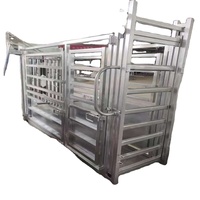 Chariot de manutention de bétail économique avec pèse-bétail et appui-tête, revêtement poudré bleu-vert pour ferme