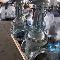 Válvula de Compuerta de Acero Inoxidable 316L, con Brida, de Paso Completo, Baja Resistencia al Flujo, para Tuberías Industriales