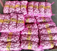 Distributeur et Fournisseur en Gros d'Ail Blanc Frais de Chine pour l'Exportation sur Alibaba