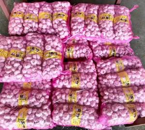 Fornitore cinese all'ingrosso dell'esportazione del distributore dell'aglio bianco fresco della cina da vendere alibaba - Product Image 4