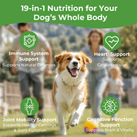 Suplemen Vitamin dan Mineral untuk Hewan Peliharaan dari Pabrik OEM, Mendukung Kesehatan Sistem Imun, Tablet Multivitamin untuk Anjing