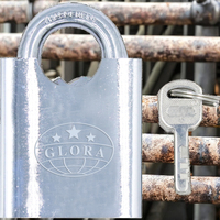 Clé à palette chromée électronique personnalisée de 60mm demi-faisceau cadenas de sécurité en fer étanche anti-coupure pour porte