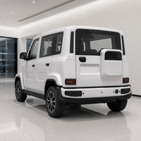 SUV électrique compact robuste pour adultes, à 4 roues, avec un grand coffre pour les voyages en famille et le camping