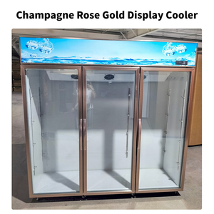 Enfriador Vertical de Bebidas con Puerta de Vidrio para Supermercado, Exhibidor de Bebidas con Puerta de Vidrio, Refrigerador <span class=keywords><strong>Coca</strong></span>-Cola - Product Image 2