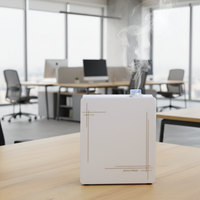 Diffuseur d'arômes électrique 250 ml, diffuseur d'huiles essentielles mural pour le bureau, la boutique, la maison, appareil électroménager pour l'hygiène