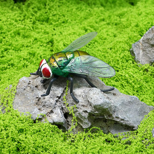 Modelli di insetti simulati più venduti per il commercio transfrontaliero: Zanzare, Giocattoli educativi <span class=keywords><strong>Atlas</strong></span>, Ornamenti decorativi in PVC per la maternità - Product Image 5
