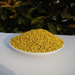 Gránulos de Polen de Abeja de Colza Totalmente Puros, Naturales, de Gran Calidad para Consumo Humano - Product Image 3