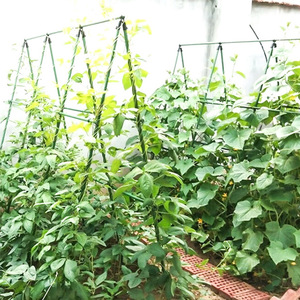 Treillis rectangulaire en plastique vert pour plantes, facile à assembler, pour le soutien des plantes dans le jardin - Product Image 3