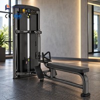 Équipement de musculation commercial CE ISO : Machine de rame assise à sélection de charge par broche (Low Row)