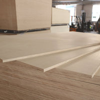 Contreplaqué de bouleau sur mesure 1220x2440mm, surface lisse, contreplaqué de bouleau stratifié pour la construction