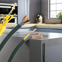 Câbles électriques ignifuges économiques et fils de conduits en PVC Câble isolé à noyaux multiples