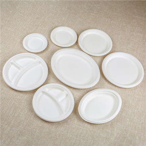 contenedores compostables de alimentos bagazo concha verde para sacar