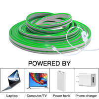 LED-Streifen Neonlicht USB DC 5V Dimmbar mit Berührungssensor-Schalter Flexibles Silikon-Neonschild-Band Wasserdicht für Außen- und Heimdekoration