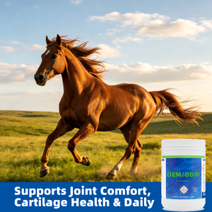Equine Joint Powder <strong>Glucosamine</strong> Chondroitin MSM ASU Boswellia <strong>Horse</strong> Joint Supplement Equine Health <strong>for</strong> <strong>Horses</strong> - Product Image 6