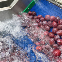Automatische fruit- en groentewas- en droogmachines