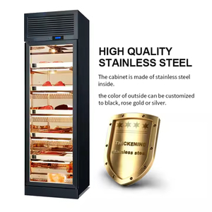 Armadio per Stagionatura a Secco di Grande Capacità per Macellerie e Ristoranti di Alta Cucina - Product Image 6