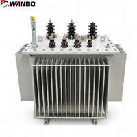 Transformateur de puissance immergé dans l'huile Wanbo-487 S13 à faible perte, avec noyau en acier au silicium haute perméabilité et enroulement en cuivre ONAN, 10kV 35kV