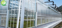 Serre agricole/commerciale, serre Venlo, serre en verre, serres agricoles en polycarbonate à vendre