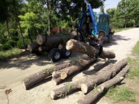 Remorque de levage de grue de bûches de bois et chargeur d'abattage de vtt pour équipement d'arboriste