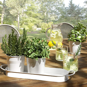 Ensemble de jardinières pour herbes aromatiques d'intérieur avec plateau, pots de fleurs en métal pour rebord de fenêtre avec drainage pour plantes d'extérieur ou d'intérieur - Product Image 2