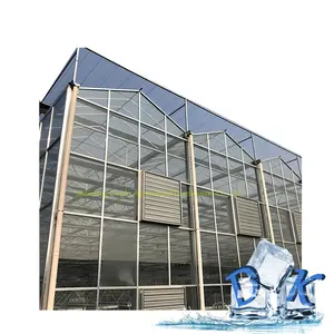Equipo de transmisión inteligente de marco de invernadero galvanizado en baño caliente Invernadero de vidrio de cultivo sin suelo