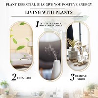 100% Minyak Esensial Murni Cold Pressed dengan Aroma Lemon Buah & Bunga untuk Pijat Tubuh dan Semua Jenis Kulit