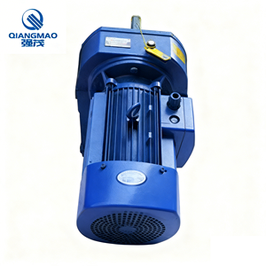 Motorreductor Helicoidal de Ejes Paralelos Serie F de Alta Eficiencia para Tratamiento de Aguas Residuales e Industria Química - Product Image 2