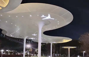 Hiện đại <span class=keywords><strong>3D</strong></span> Kết cấu nhôm Veneer tấm Ốp Chống thấm nước và chống cháy cho phòng tập thể dục hoặc hộ gia đình sử dụng phong cách thiết kế châu Âu - Product Image 4